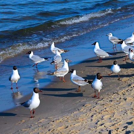 Bunk Comfortable Holiday home *