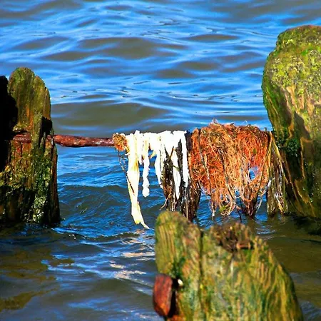 Σπίτι διακοπών Bunk Comfortable *